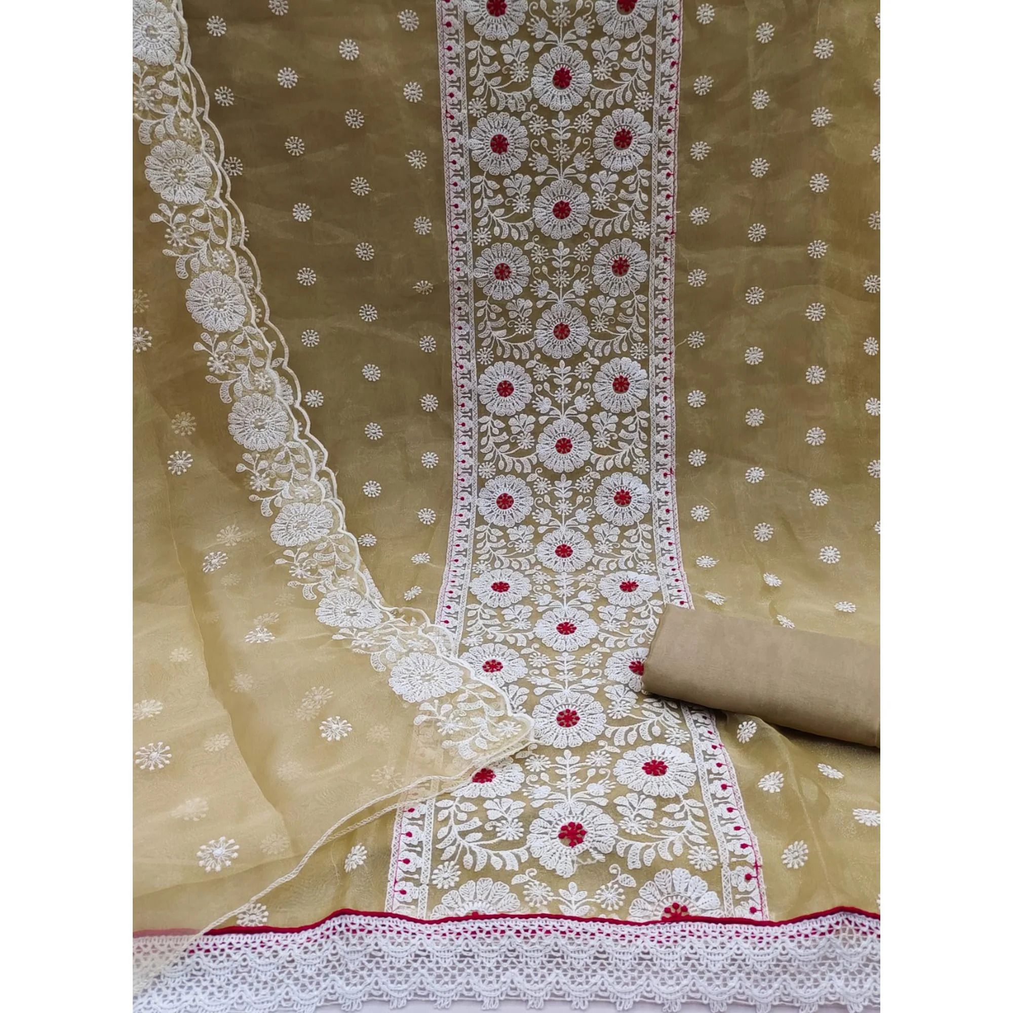 Chikoo Organza Dress Material With Intricate Floral Thread Embroidery - Image 3