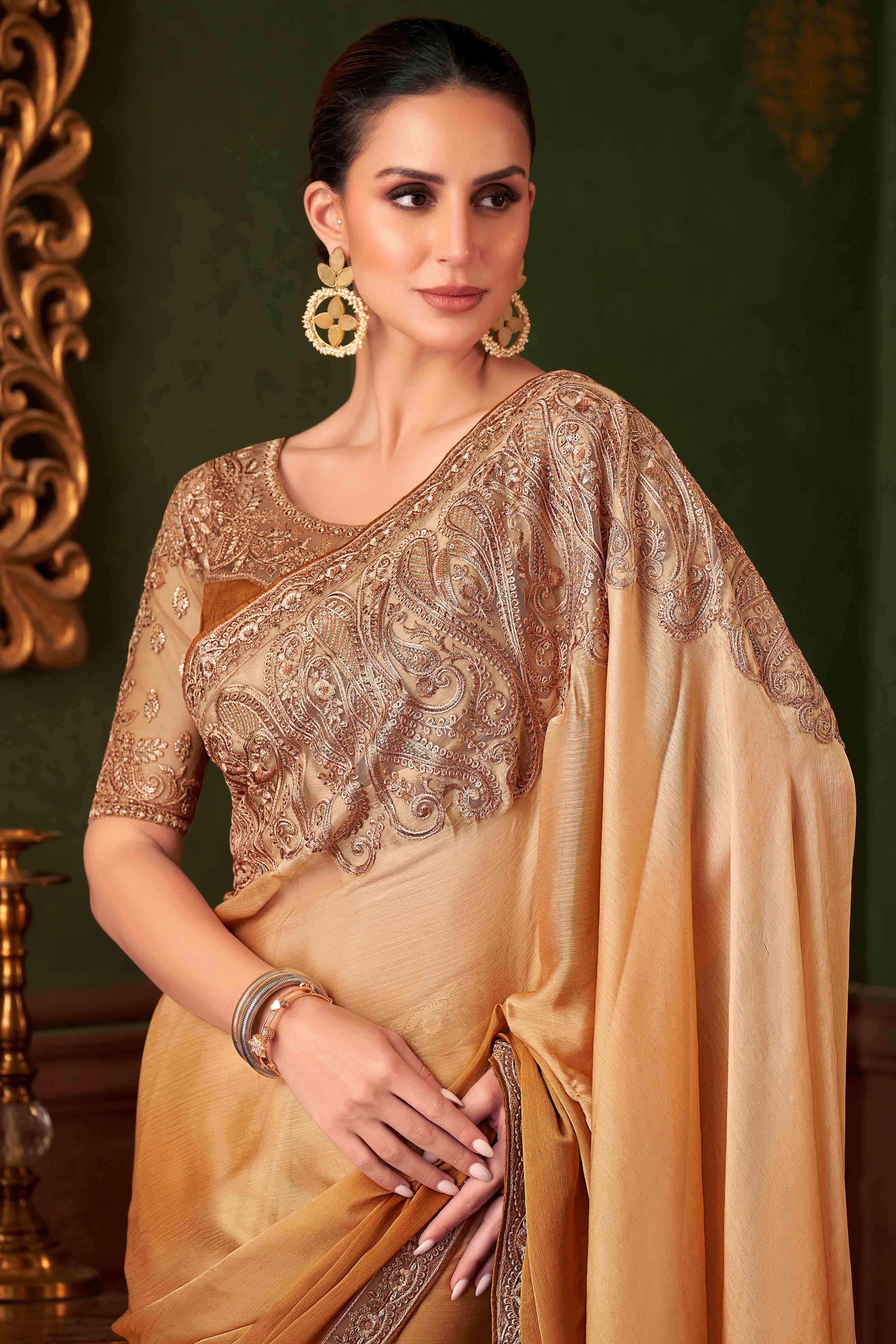 Light Brown Sequins Embroidered Chiffon Saree - Image 3